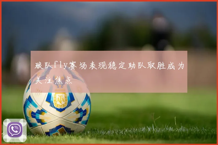 狼队fly赛场表现稳定助队取胜成为关注焦点